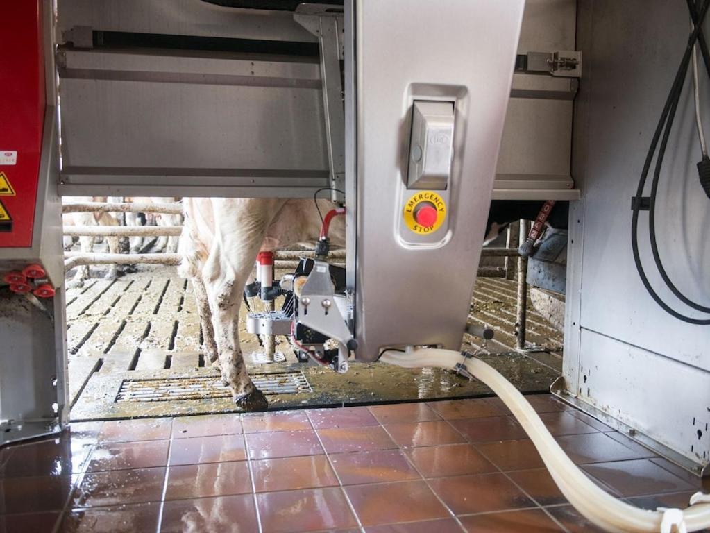 Ferienwohnung Sonnenaufgangsgenuss Harriersand Schwanewede 외부 사진